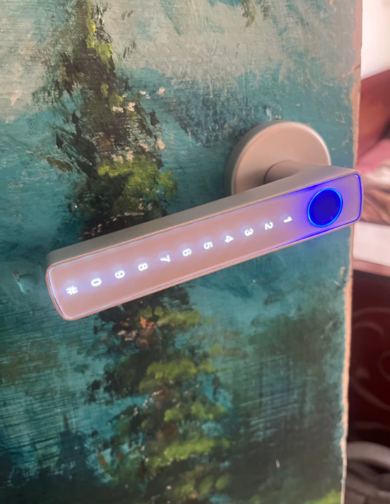 Chapa inteligente recamara