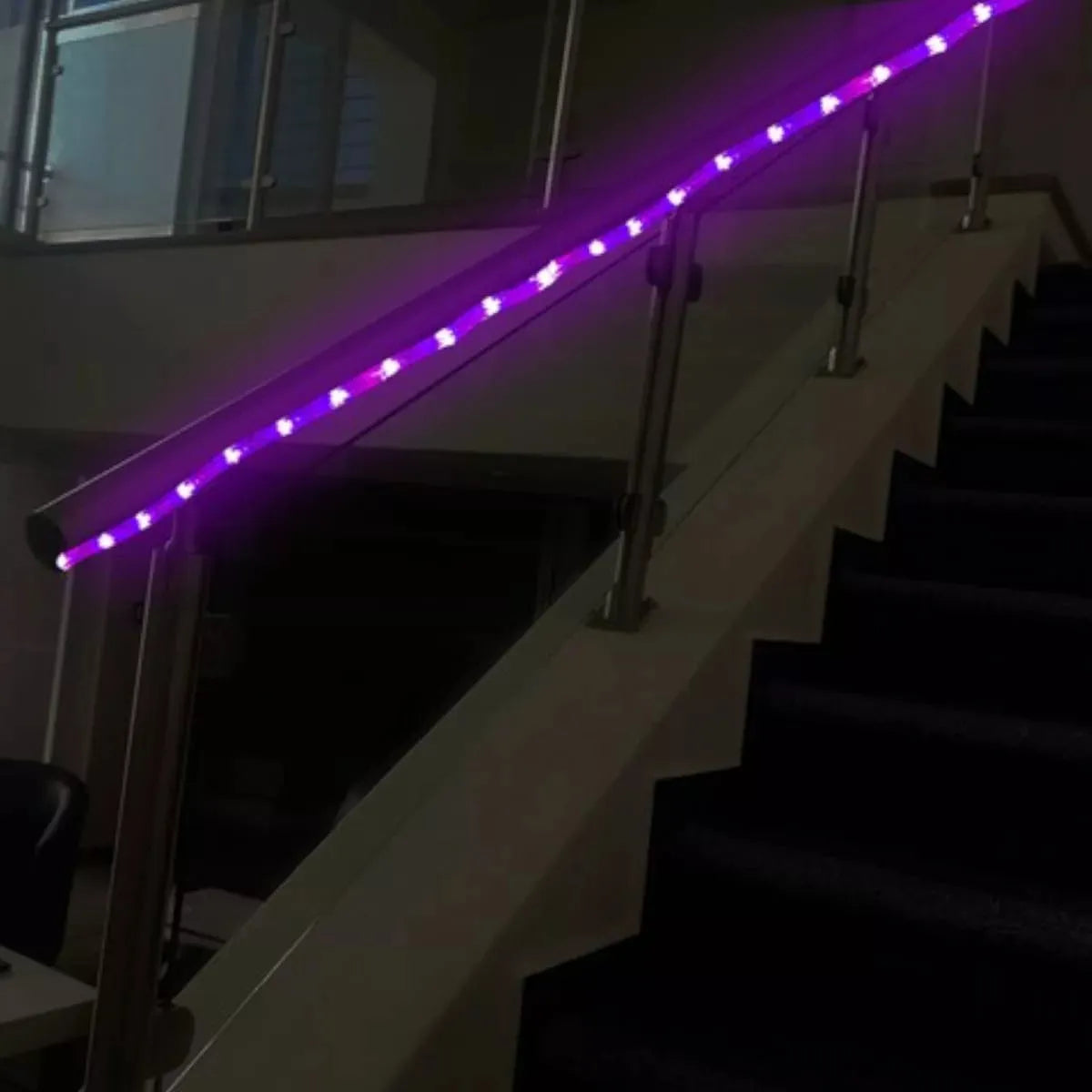 Manguera LED dia de muertos