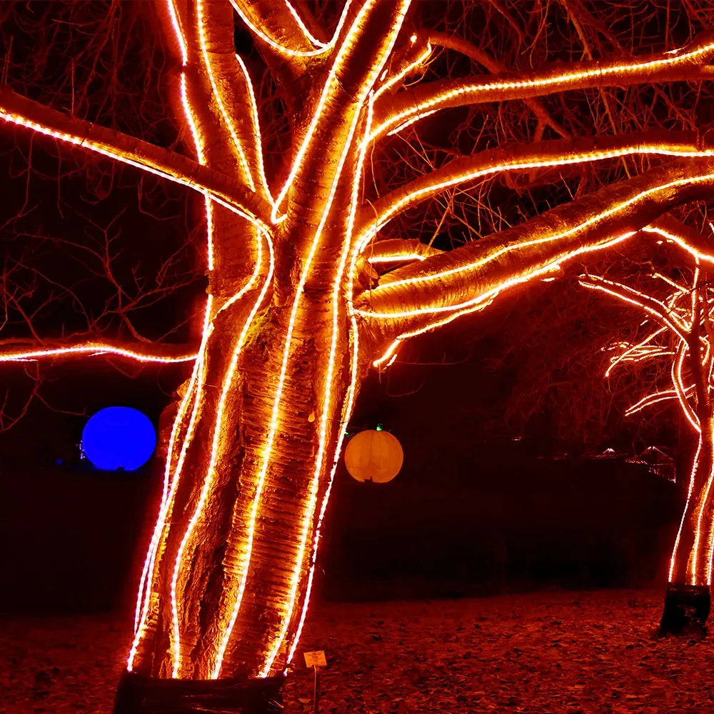 Manguera LED dia de muertos